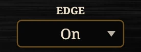 Edge, close up on the Reckless Amp.