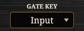 Gate Key, close up on the Reckless Amp.