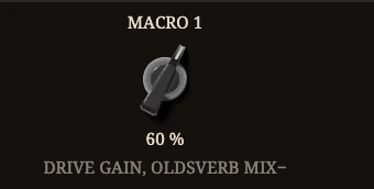 MACRO 1 turns the Drive's Gain and, inverted, the Oldsverb's Mix.